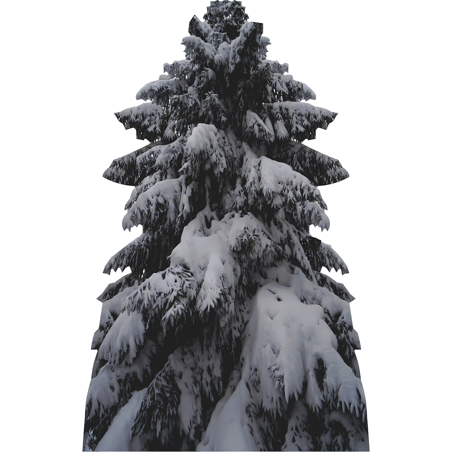 Snow Covered Evergreen Tree Cardboard Cutout