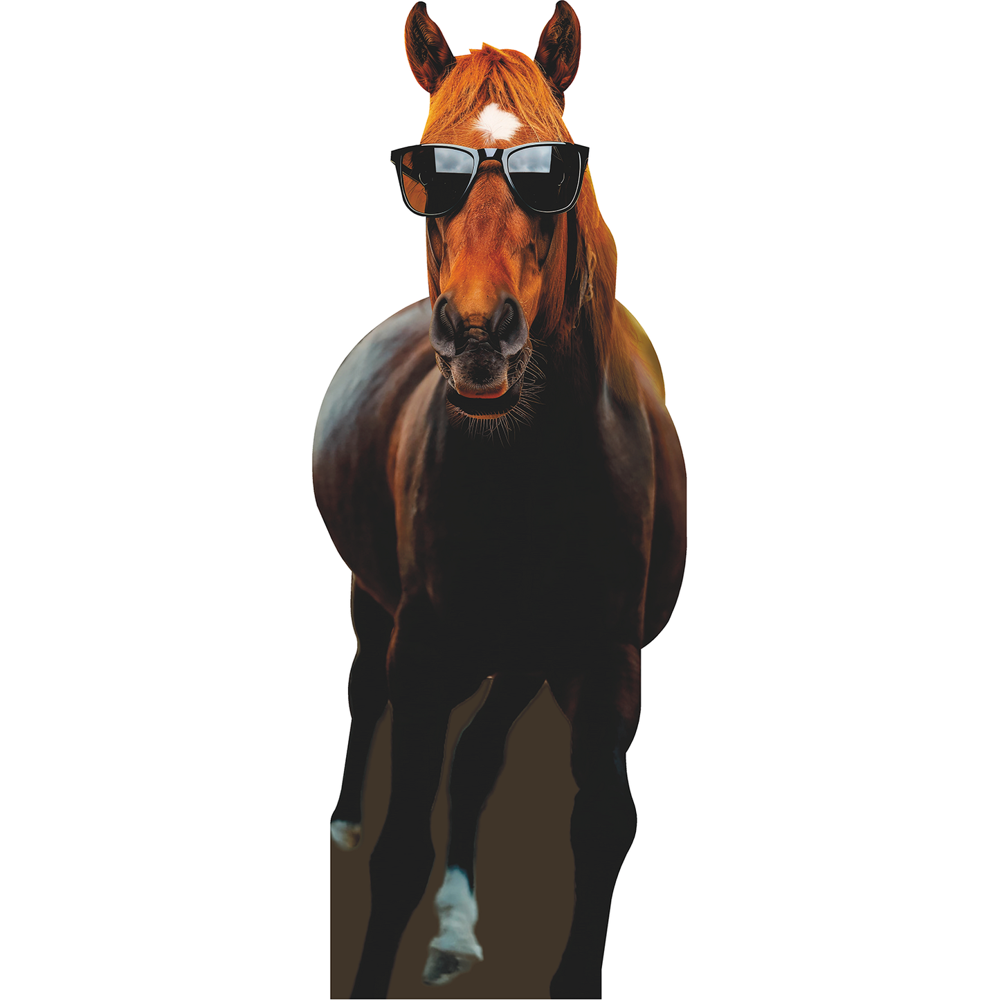 Mr Horse With Glasses Cardboard Cutout