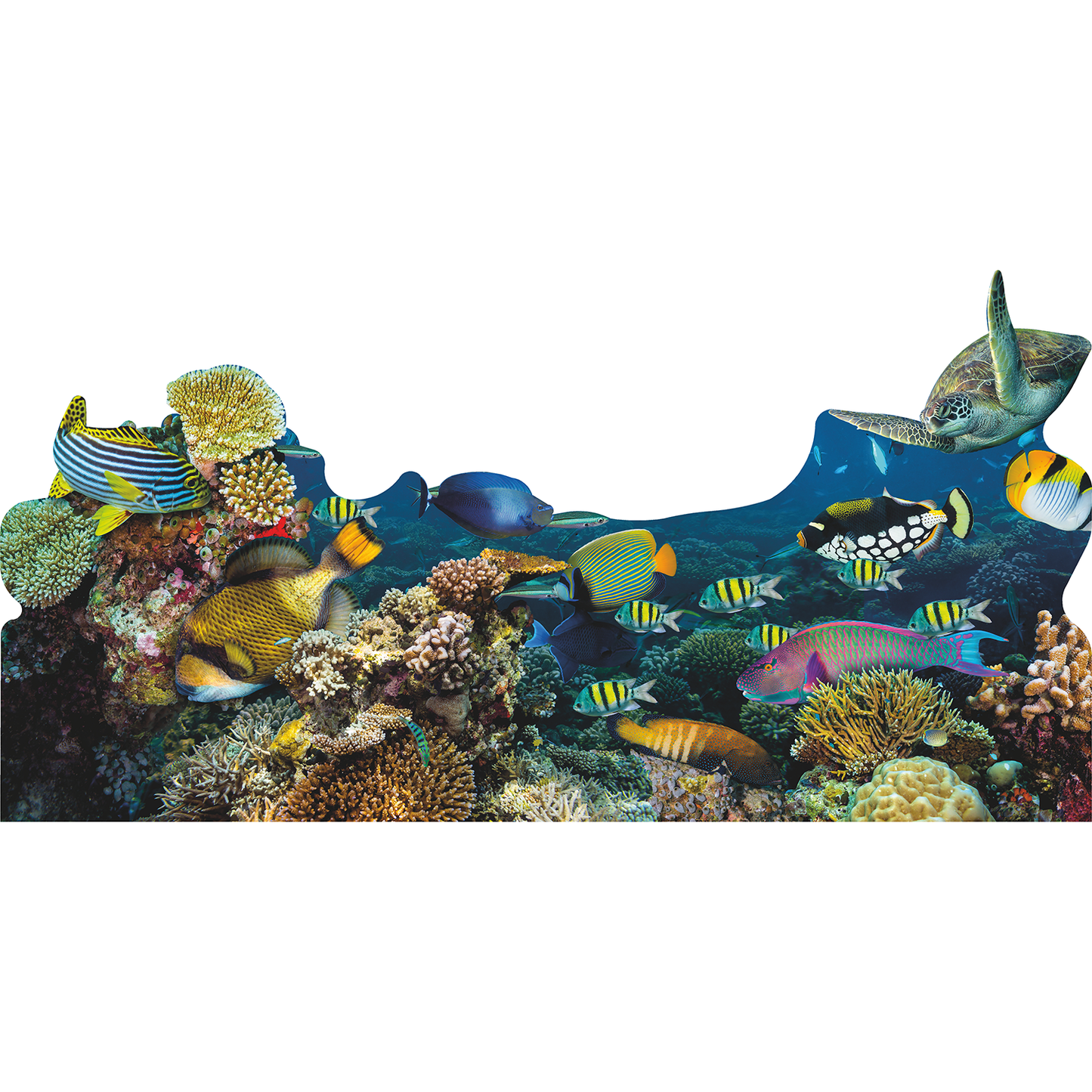 Under Water Deep Blue Sea Paradise Coral Reef Fish Backdrop Cardboard Cutout