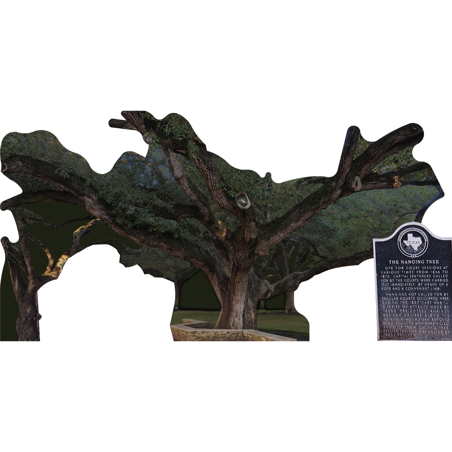 Goliad Texas Hanging Tree Old West Frontier Justice Cardboard Cutout