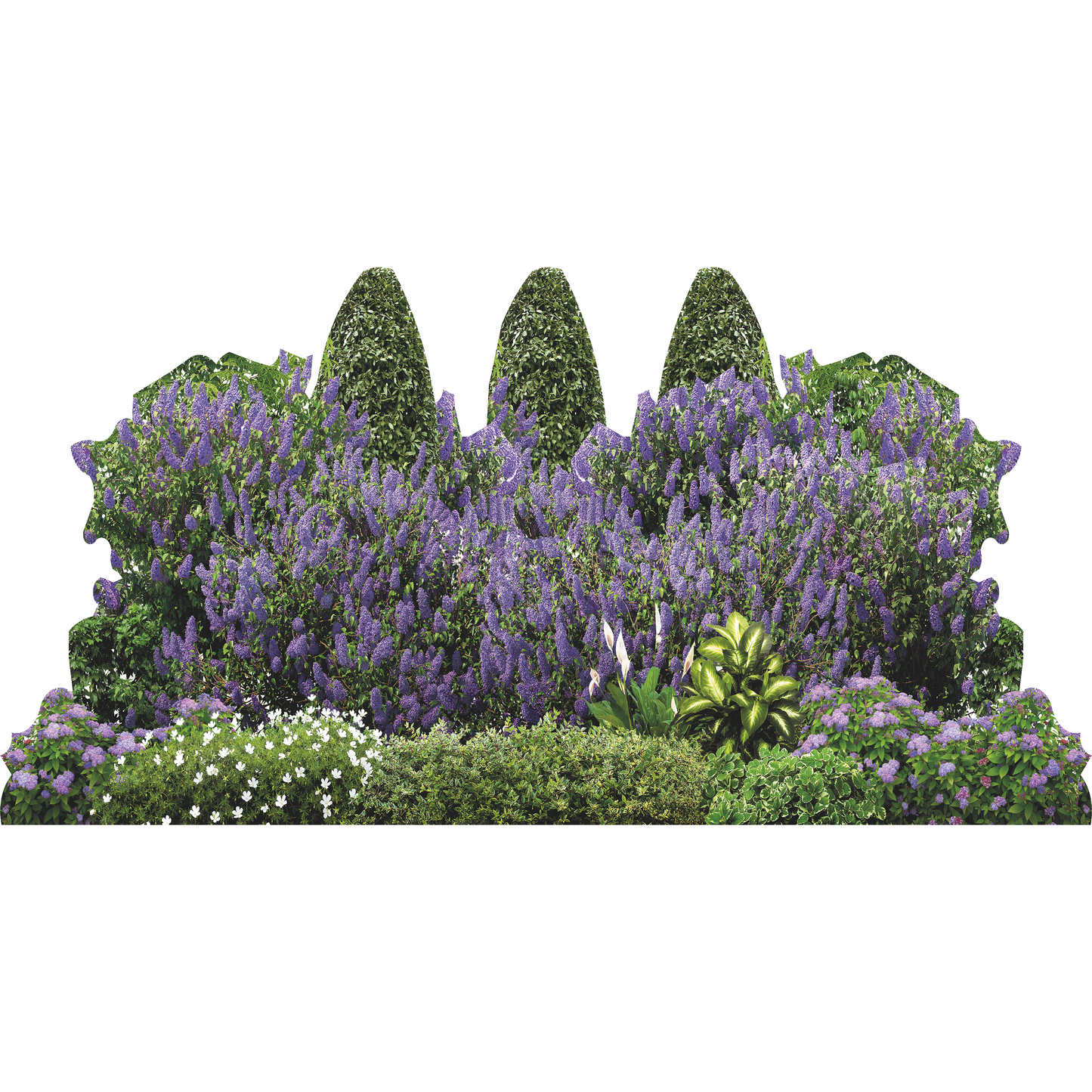 Garden Bush Landscape Lilac Flower Hedge Cardboard Cutout