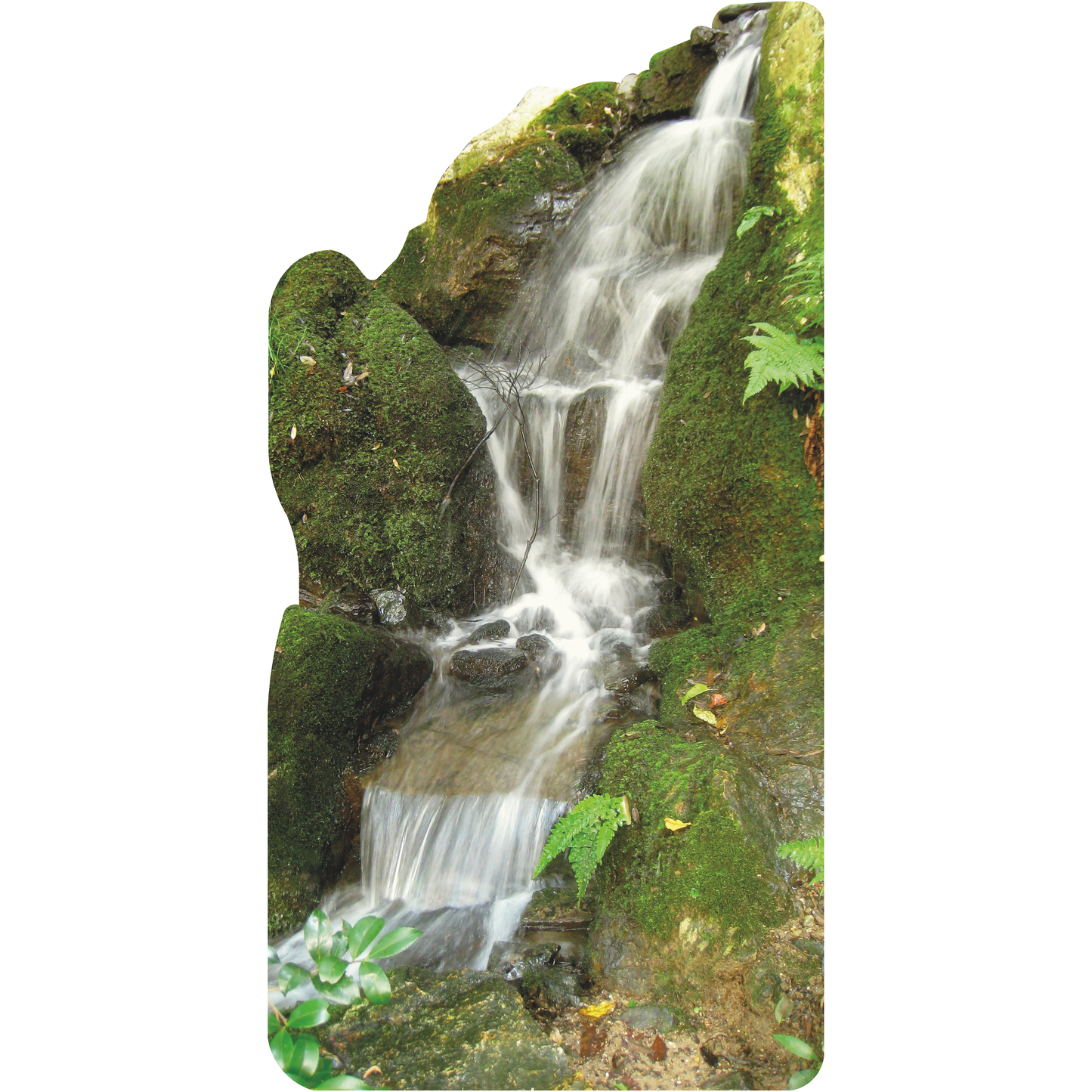 Forest Waterfall Nature Woods Scenery Cardboard Cutout