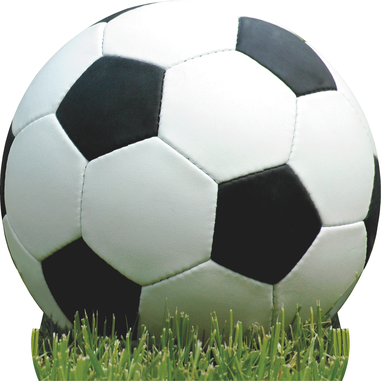 Soccer Ball On Grass Cardboard Cutout