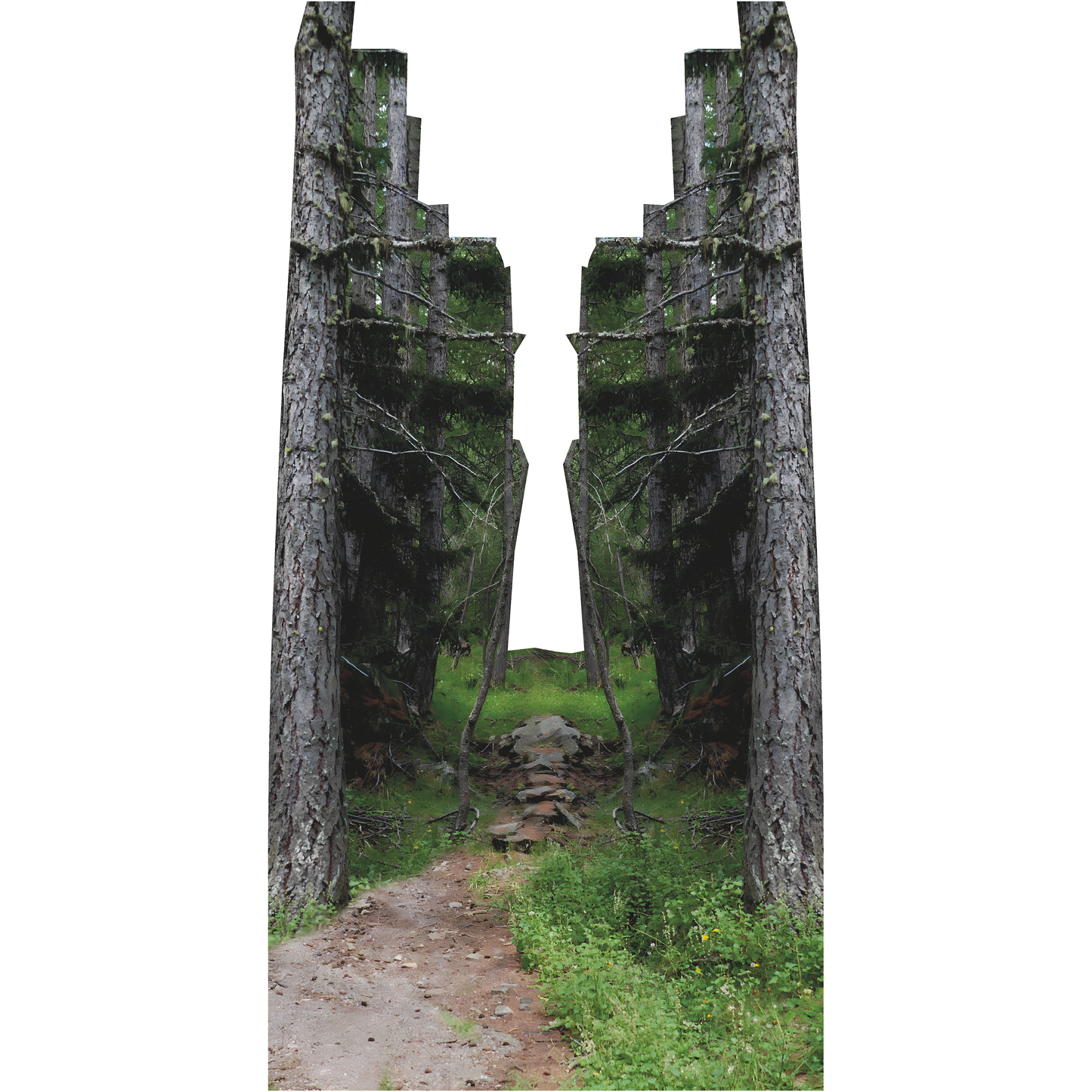 Forest Trail Trees Nature Hike Backdrop Cardboard Cutout