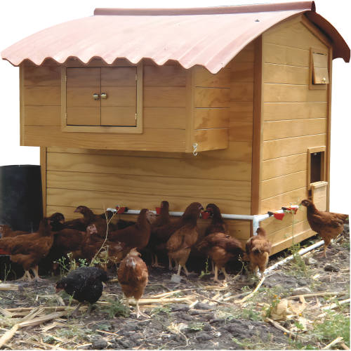 Chicken Coop Farm Homestead Off Grid Cardboard Cutout