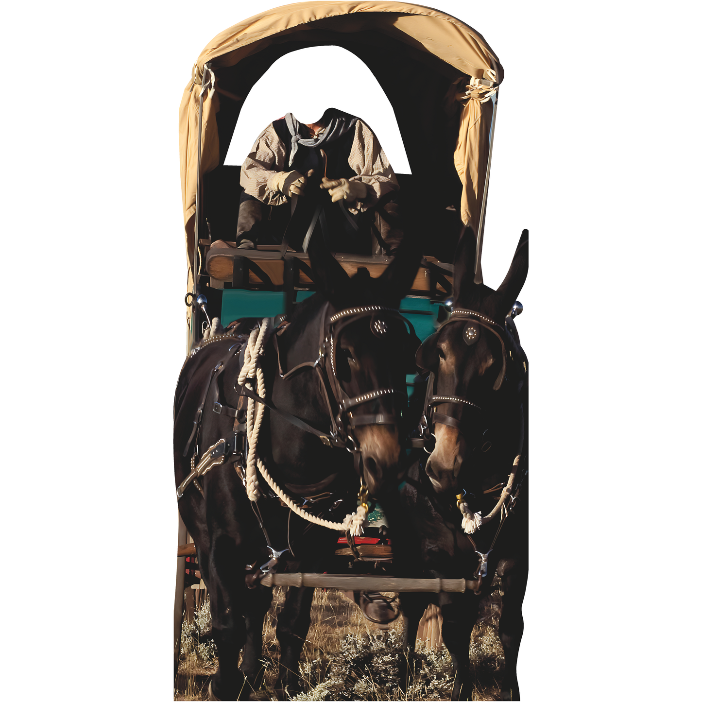 Horse Donkey Pioneer Carriage Wagon Oregon Historic Trail Stand In Cardboard Cutout