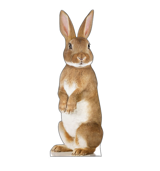 Fun Easter Decorations for 2021