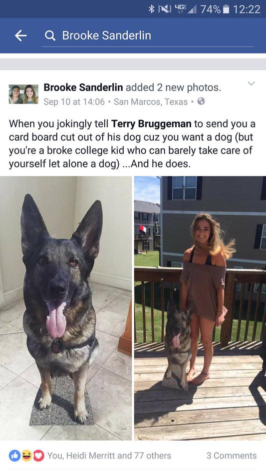 Pets in dorms new craze!