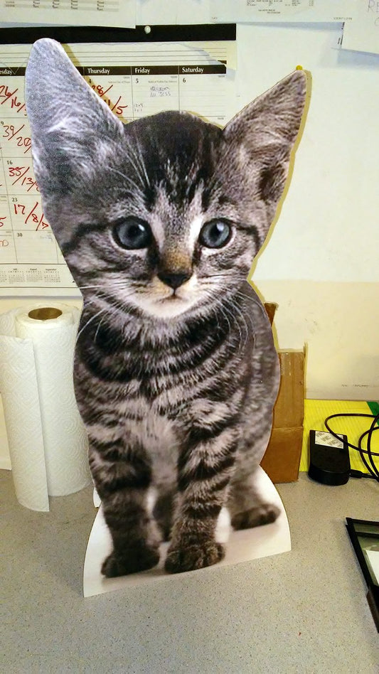 Custom Cat Cutouts