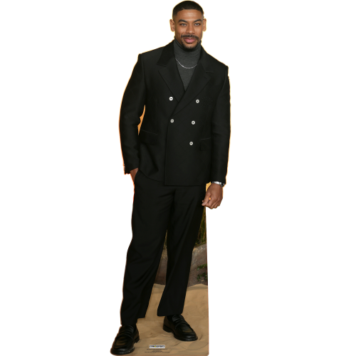 Aaron Pierre Cardboard Cutouts