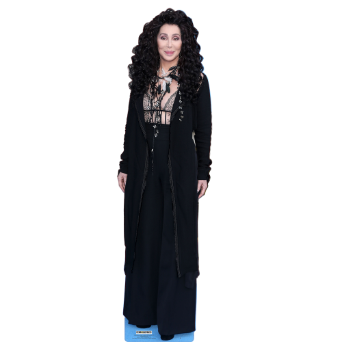 Cher Cardboard Cutouts