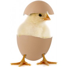 Farming Cardboard Cutouts