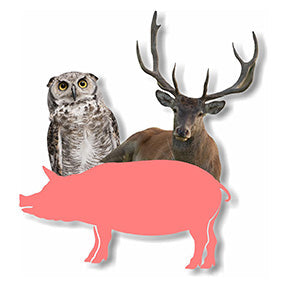 Animal Outdoor Yard Signs Cardboard Cutouts