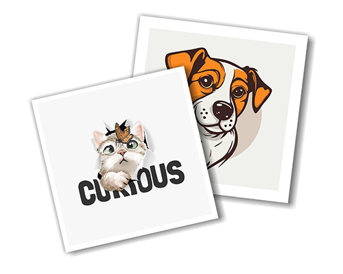 Custom Square Stickers