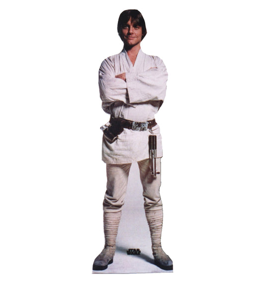 Luke Skywalker Star Wars Cardboard Cutout