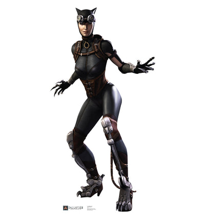 Catwoman Injustice DC Comics Game Cardboard Cutout