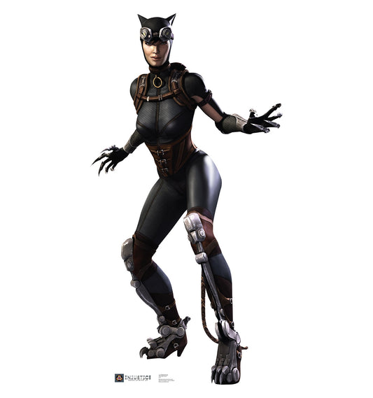 Catwoman Injustice DC Comics Game Cardboard Cutout