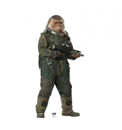 Bistan (Rogue One) Cardboard Cutout