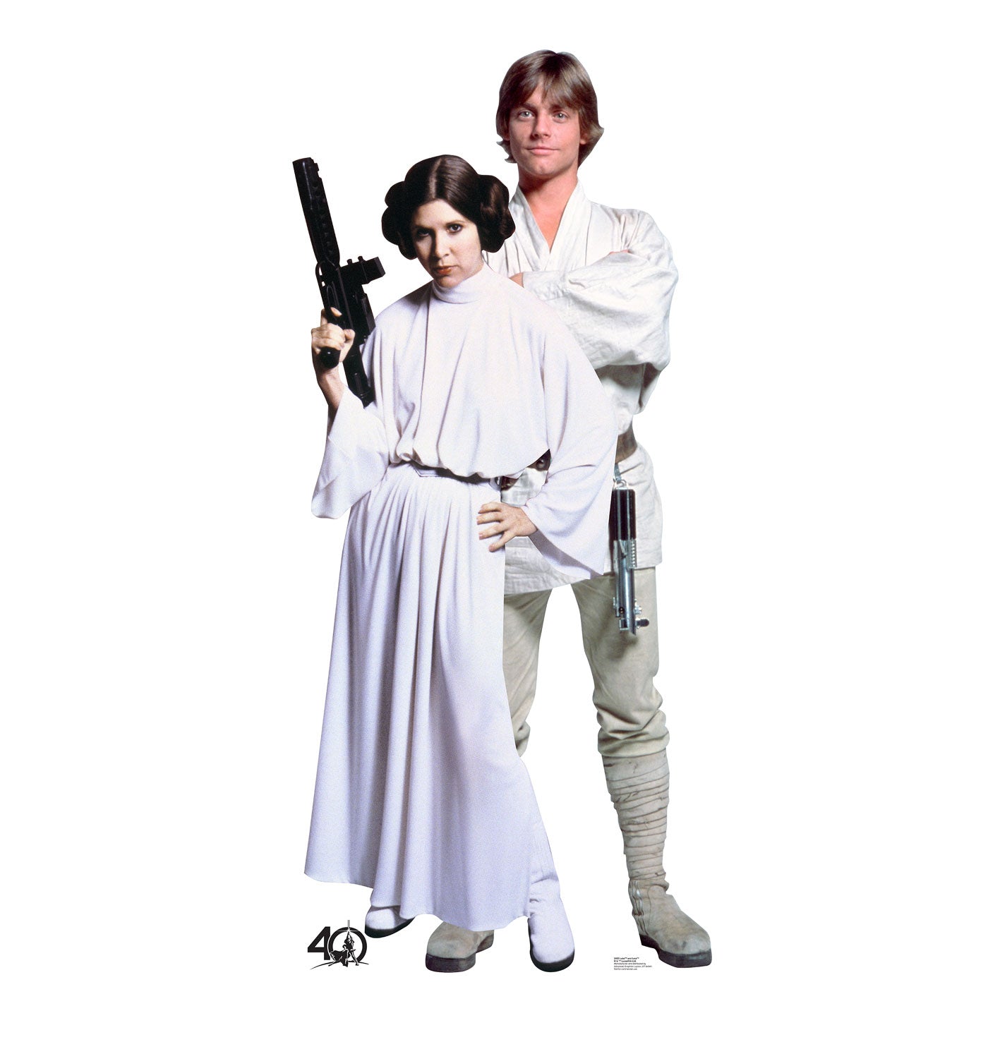 Luke and Leia Cardboard Cutout