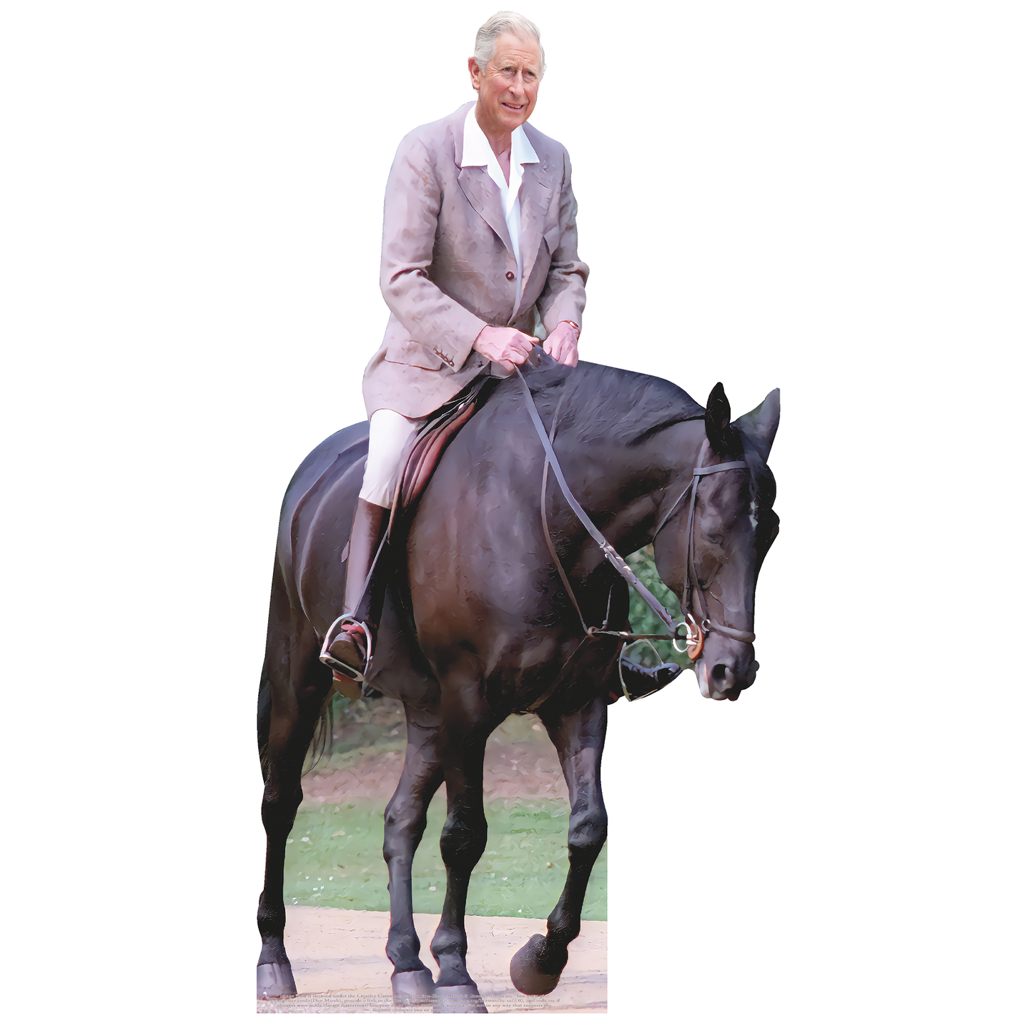 Prince King Charles III on Horse Cardboard Cutout