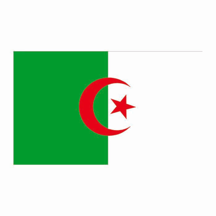 Algeria Flag Cardboard Cutout