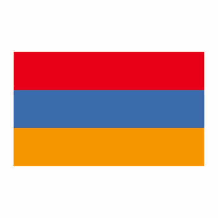 Armenia Flag Cardboard Cutout