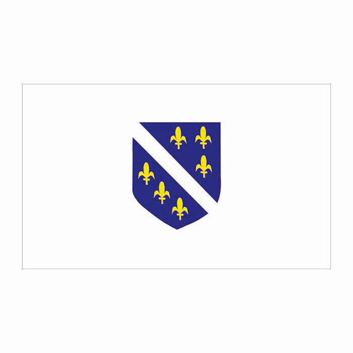 Bosnia-Herzegovina Flag Cardboard Cutout