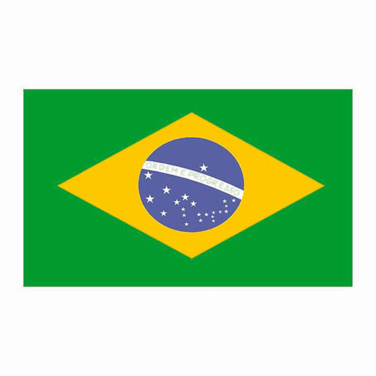 Brazil Flag Cardboard Cutout