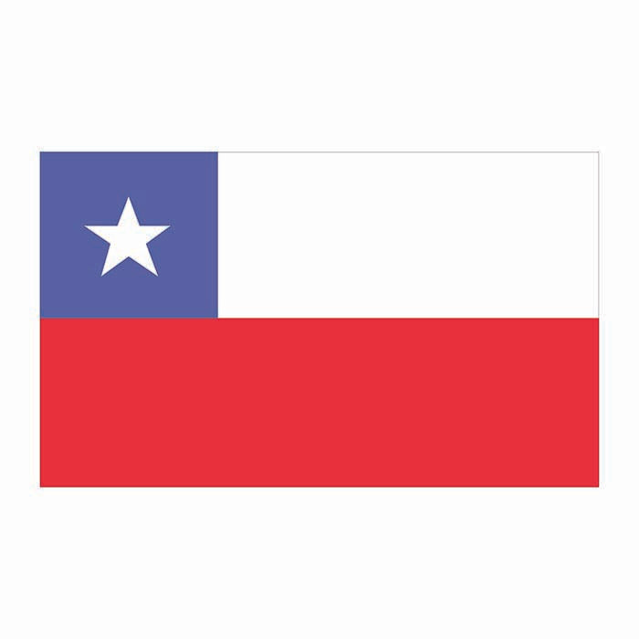 Chile Flag Cardboard Cutout