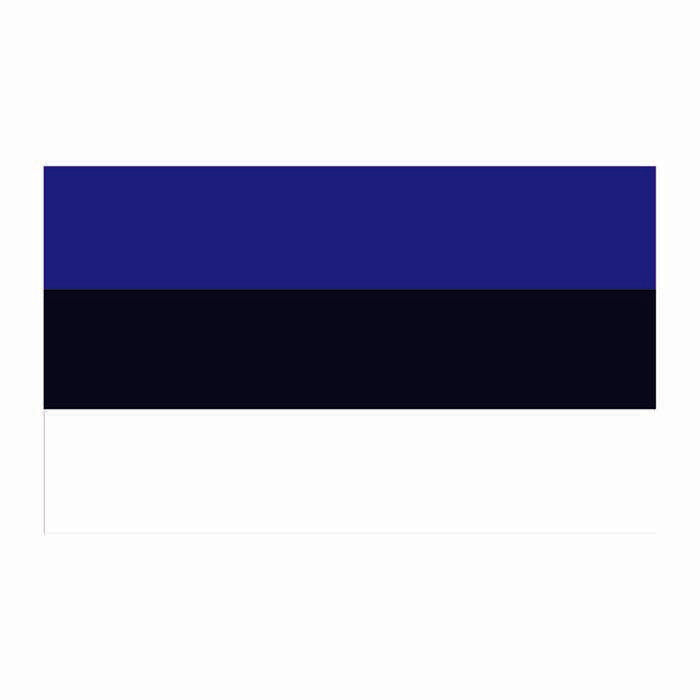 Estonia Flag Cardboard Cutout