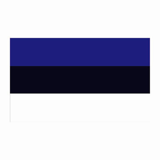 Estonia Flag Cardboard Cutout
