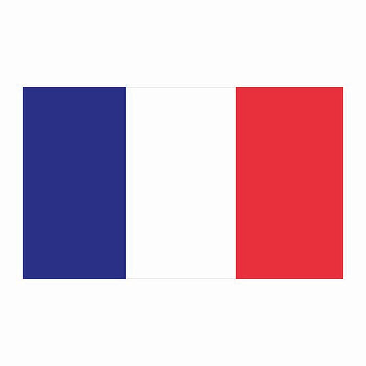 France Flag Cardboard Cutout