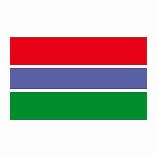 Gambia Flag Cardboard Cutout