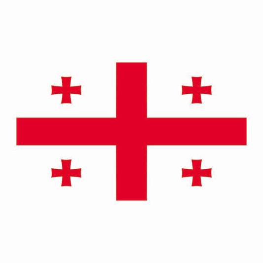 Georgia Flag Cardboard Cutout