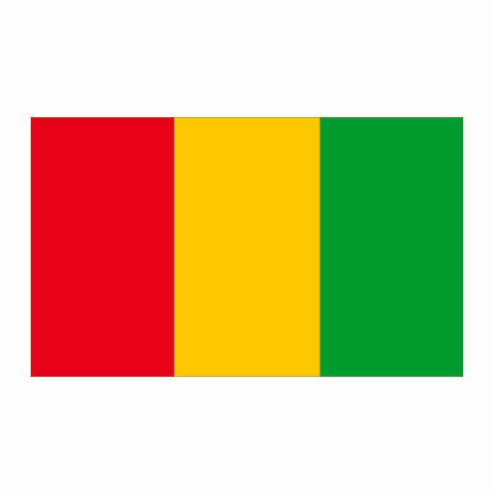 Guines Flag Cardboard Cutout