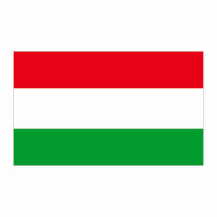 Hungary Flag Cardboard Cutout