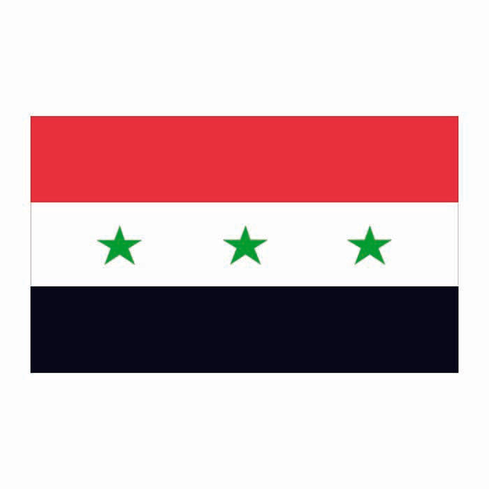 Iraq Flag Cardboard Cutout