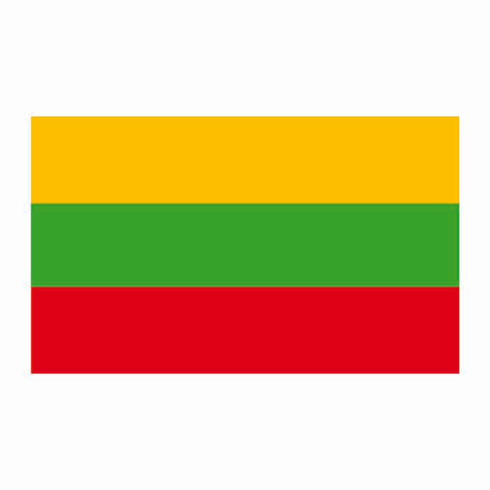Lithuania Flag Cardboard Cutout