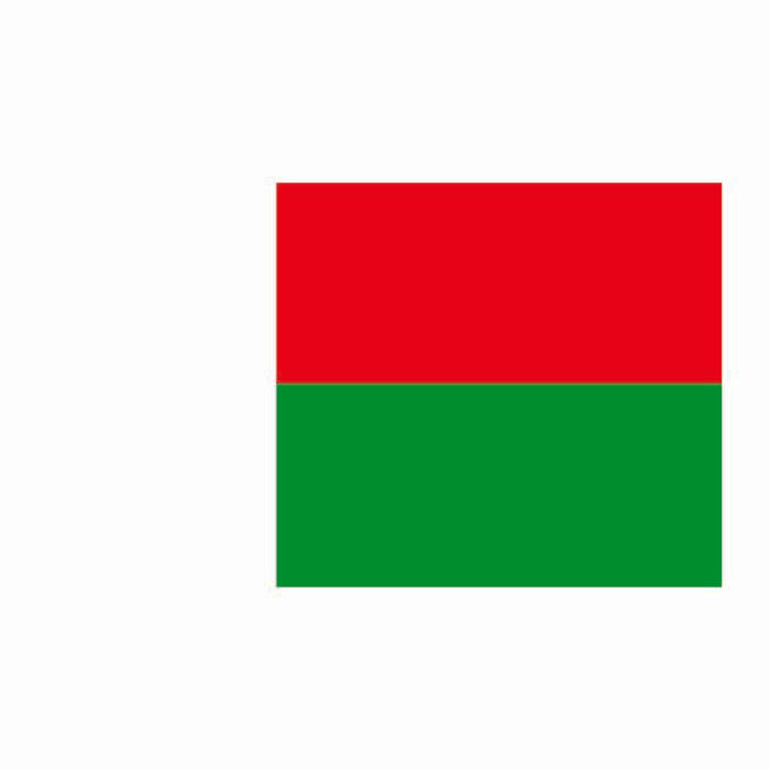 Madagascar Flag Cardboard Cutout