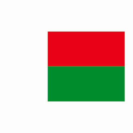 Madagascar Flag Cardboard Cutout