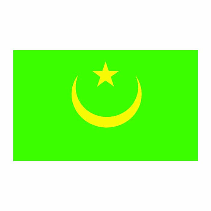 Mauritania Flag Cardboard Cutout