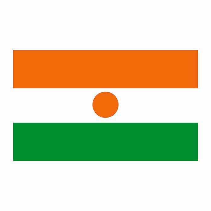 Niger Flag Cardboard Cutout