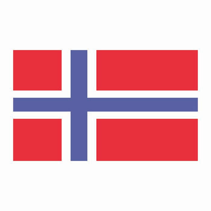 Norway Flag Cardboard Cutout