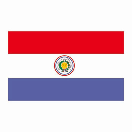 Paraguay Flag Cardboard Cutout