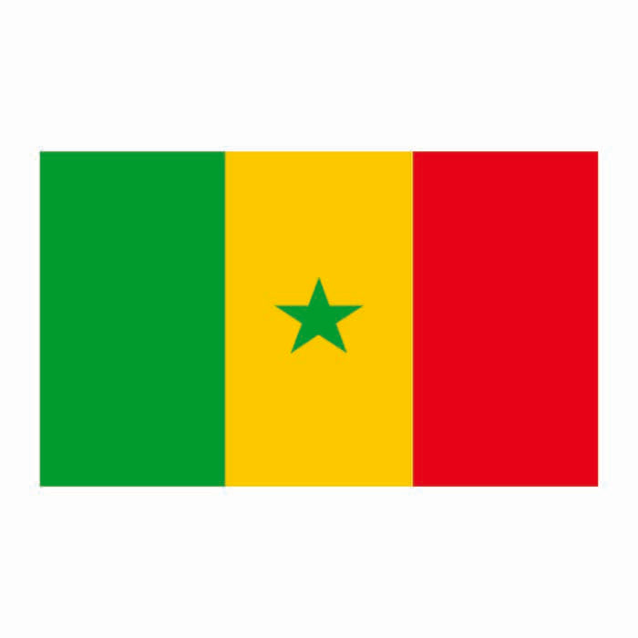 Senegal Flag Cardboard Cutout