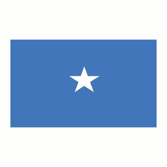 Somalia Flag Cardboard Cutout