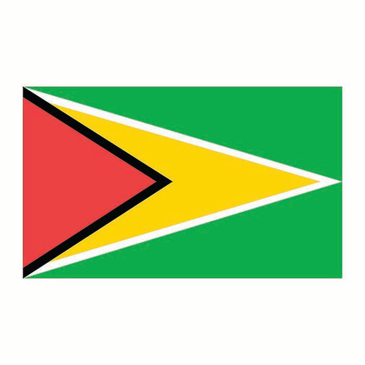 Guyana Flag Cardboard Cutout