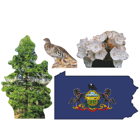 Pennsylvania State Tree Flower Bird Cardboard Cutout