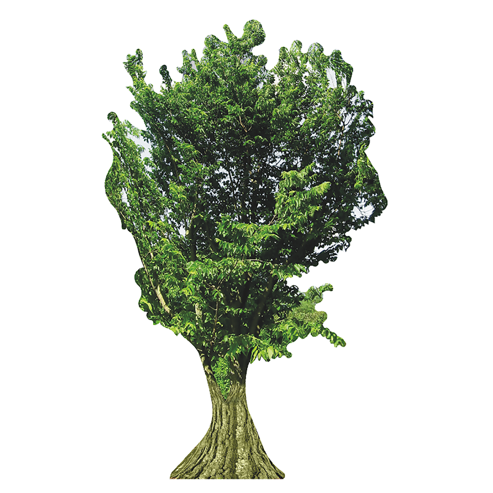 Tree Cardboard Cutout