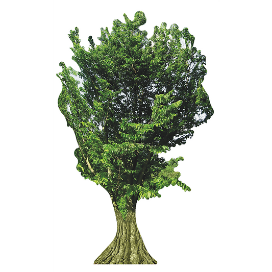 Tree Cardboard Cutout
